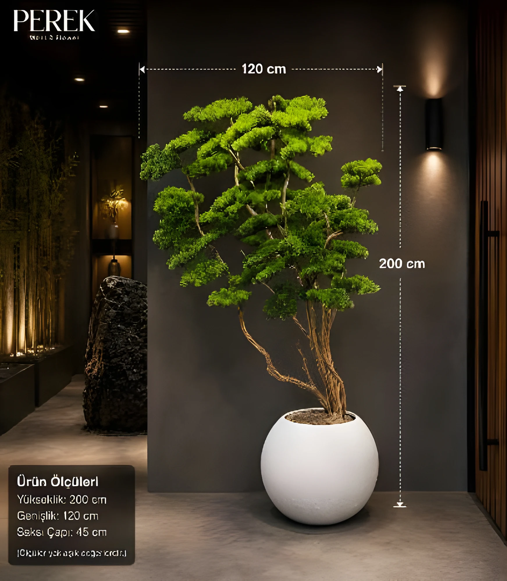 Dekoratif Bonsai Ağacı 190 cm, yeşil yapraklı