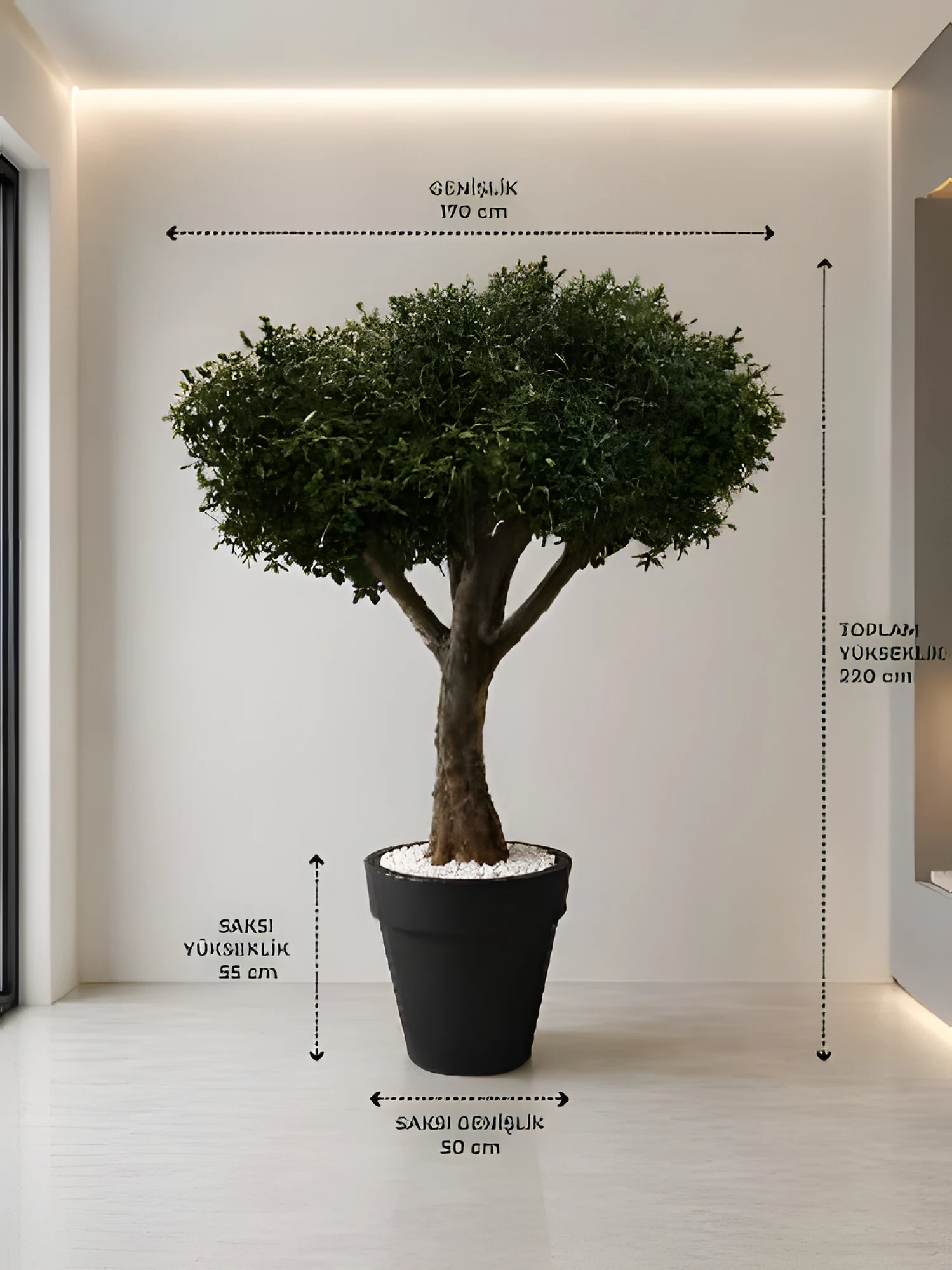Dekoratif Zeytin Ağacı 220 cm